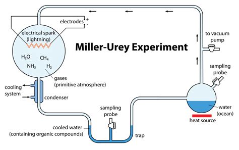 stanley miller experiment.